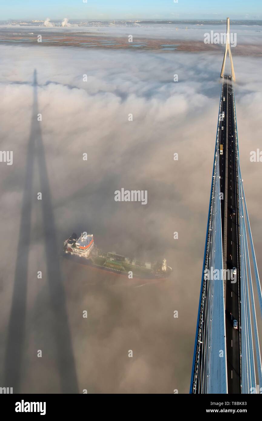 France, between Calvados and Seine Maritime, cargo passing under the Pont de Normandie (Normandy Bridge) that emerges from the morning mist of autumn and spans the Seine, the Natural Reserve of the Seine estuary in the background, view from the top of the south pylon Stock Photo