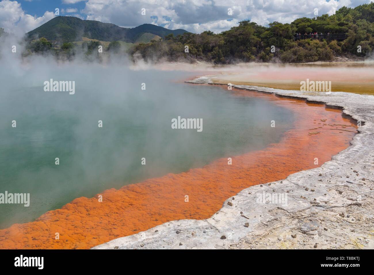 New Zealand, North Island, Waikato region, Taupo Volcanic Zone, Wai-O-Tapu Geothermal Park, Champagne Pool Stock Photo