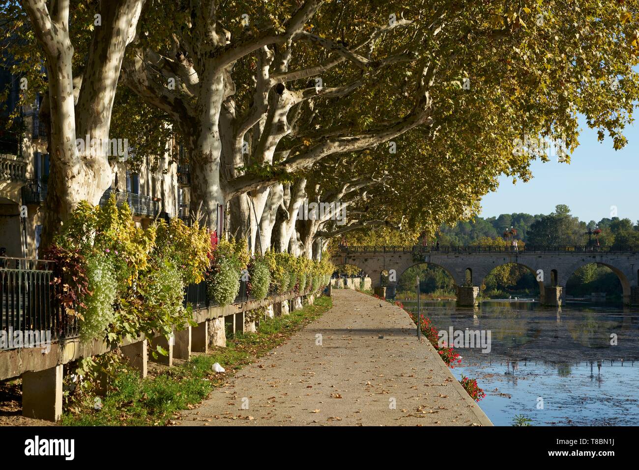 France, Gard, Sommieres, medieval village, quay of the river Vidourle, in the background the Tibere bridge Stock Photo