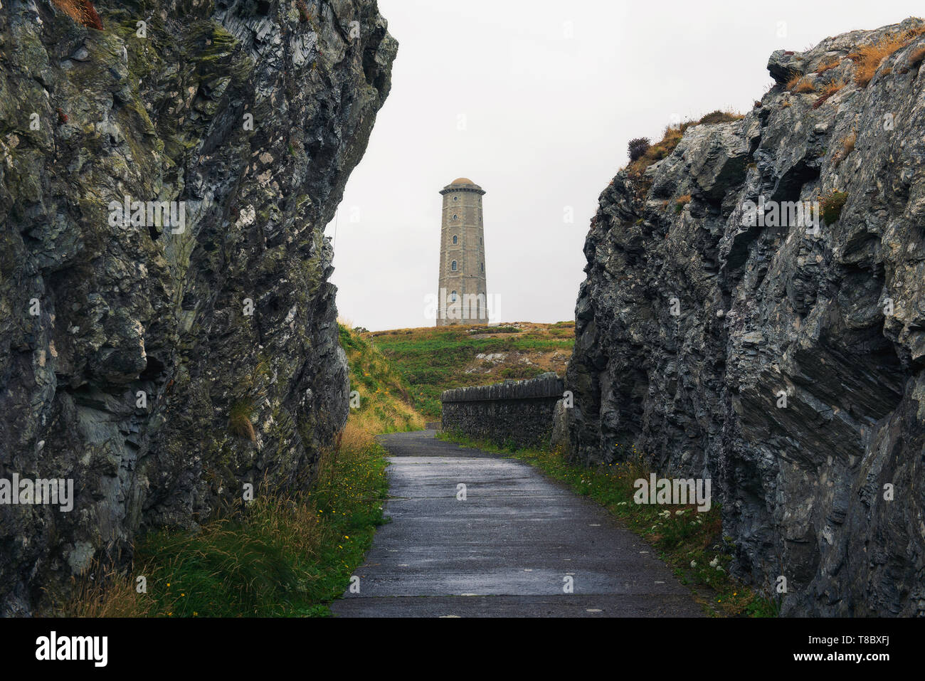 Pathway leading towards Wicklow Head Lighthouse in Ireland Stock Photo