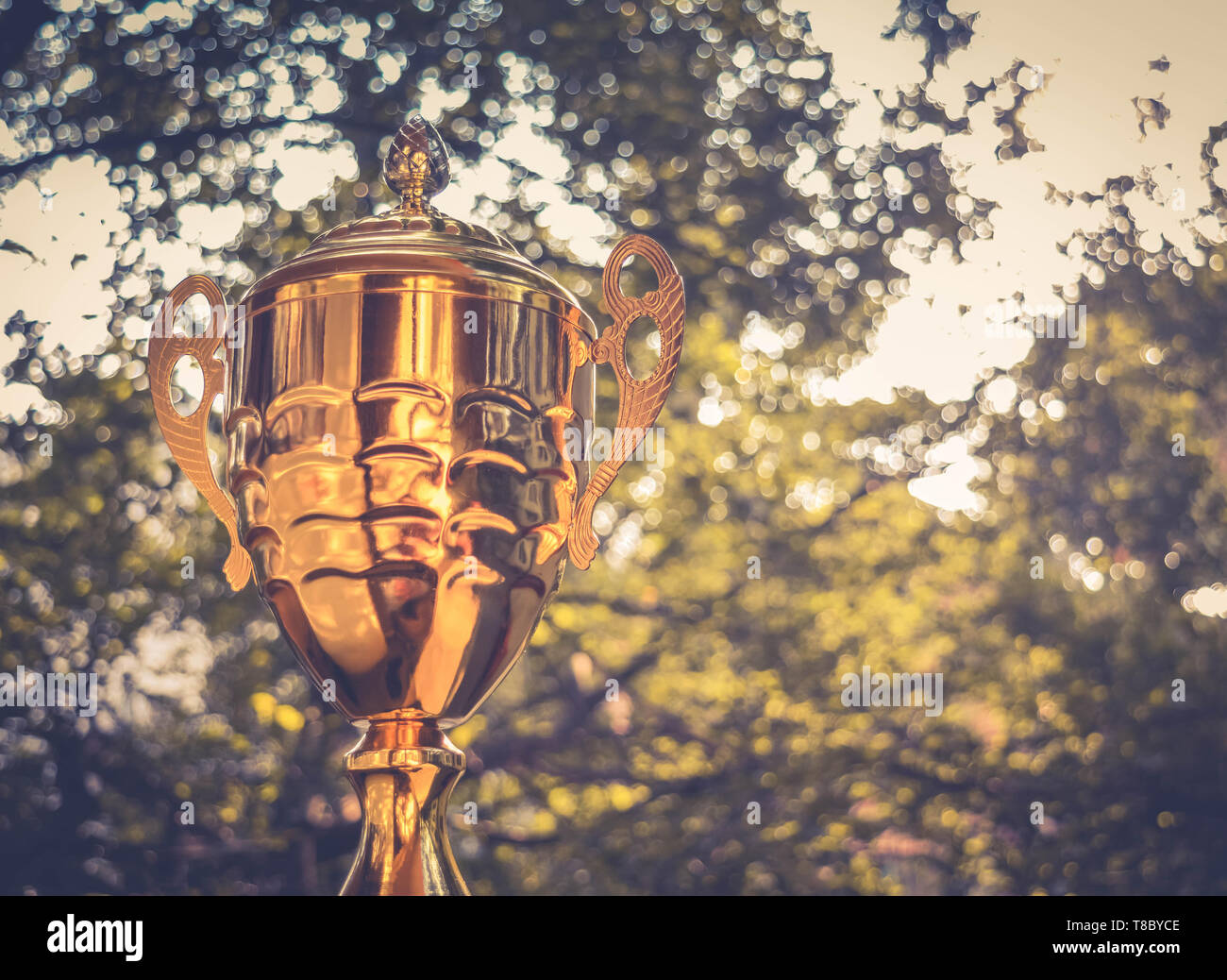 peber Kontinent plads Gold trophy on green nature background Stock Photo - Alamy