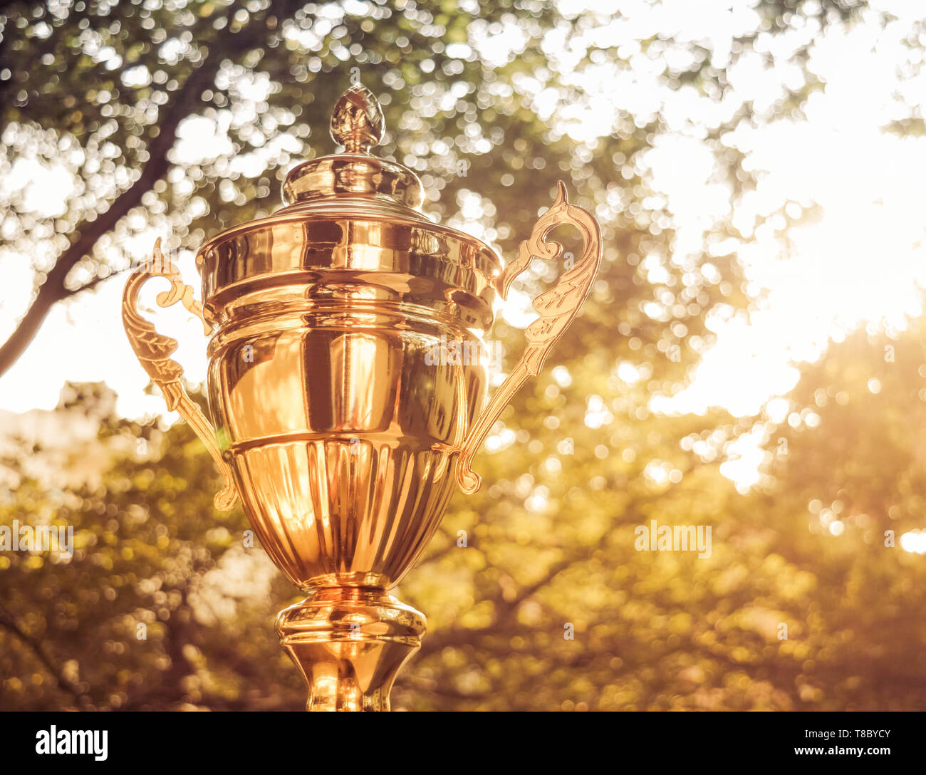 Gold trophy on green nature background Stock Photo -