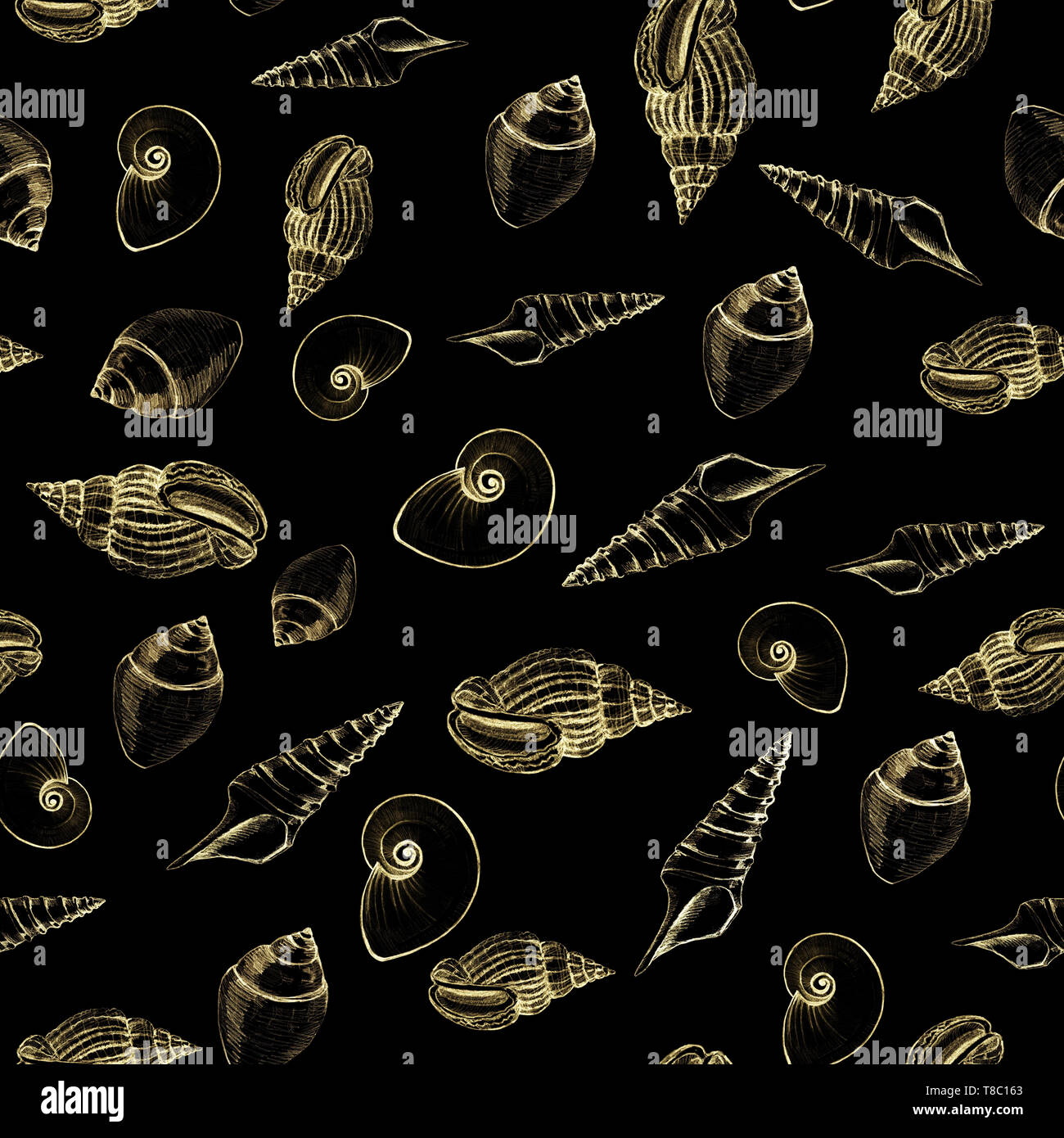 Seamless pattern of sea shells on black background. Manual graphics ...