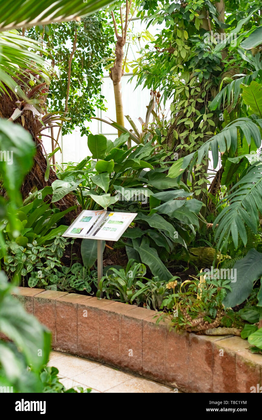 Novy Dvur, Oprava, Czech Republic, 26 April 2019 - Greenhouse at Arboretum of Novy Dvur Botanical Garden with tropical plants. Stock Photo