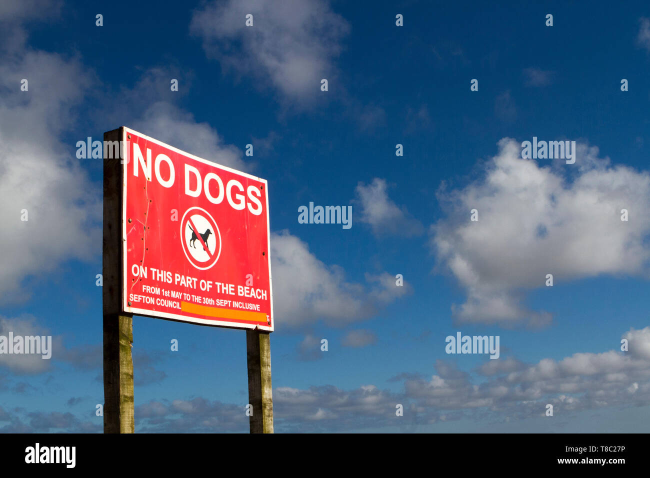 No dogs allowed on this part of the beach signs erected on the Southport coastline in Merseyside. Stock Photo