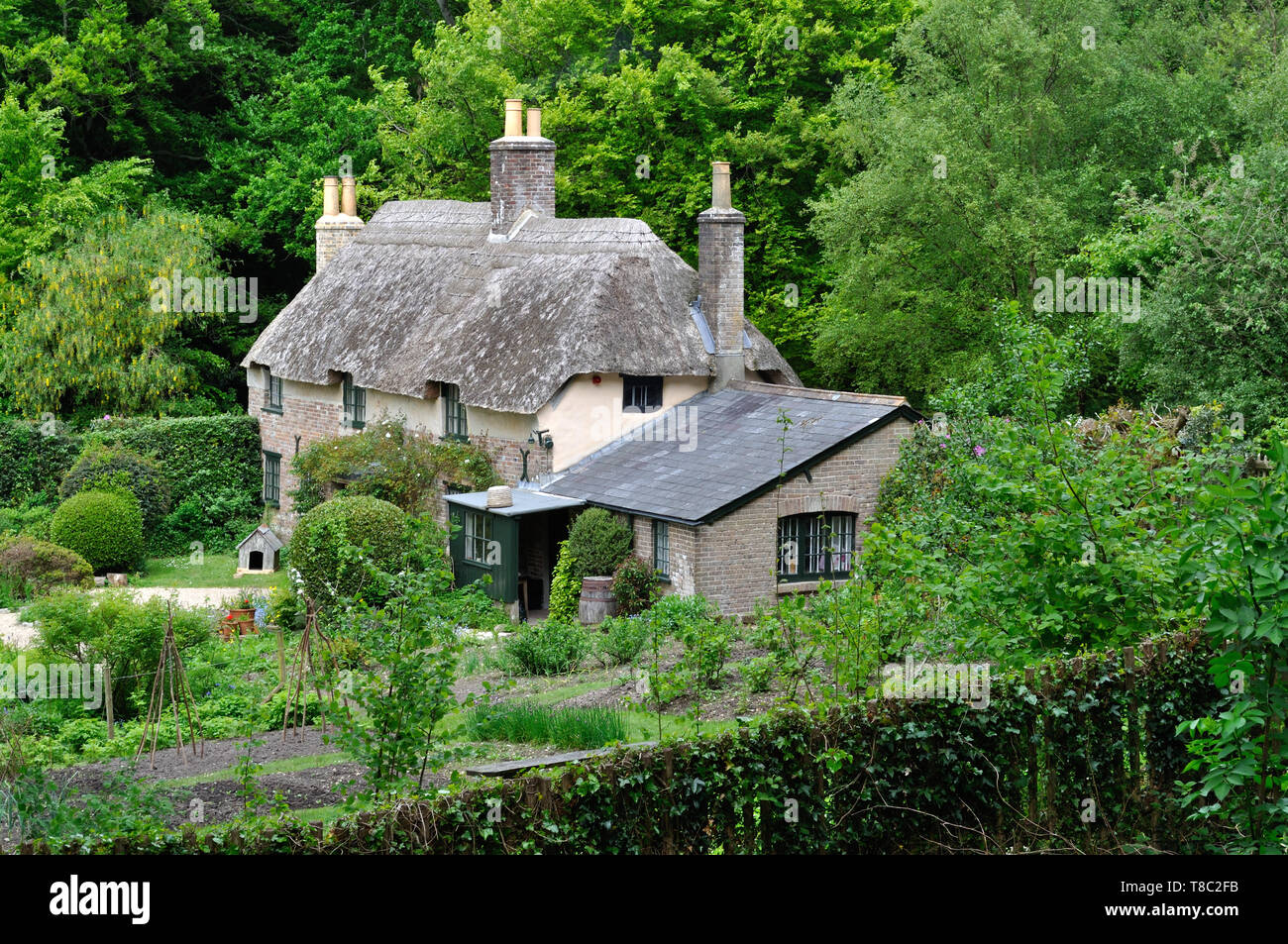 Author Thomas Hardy's cottage at Higher Bockhampton, Dorset Stock Photo