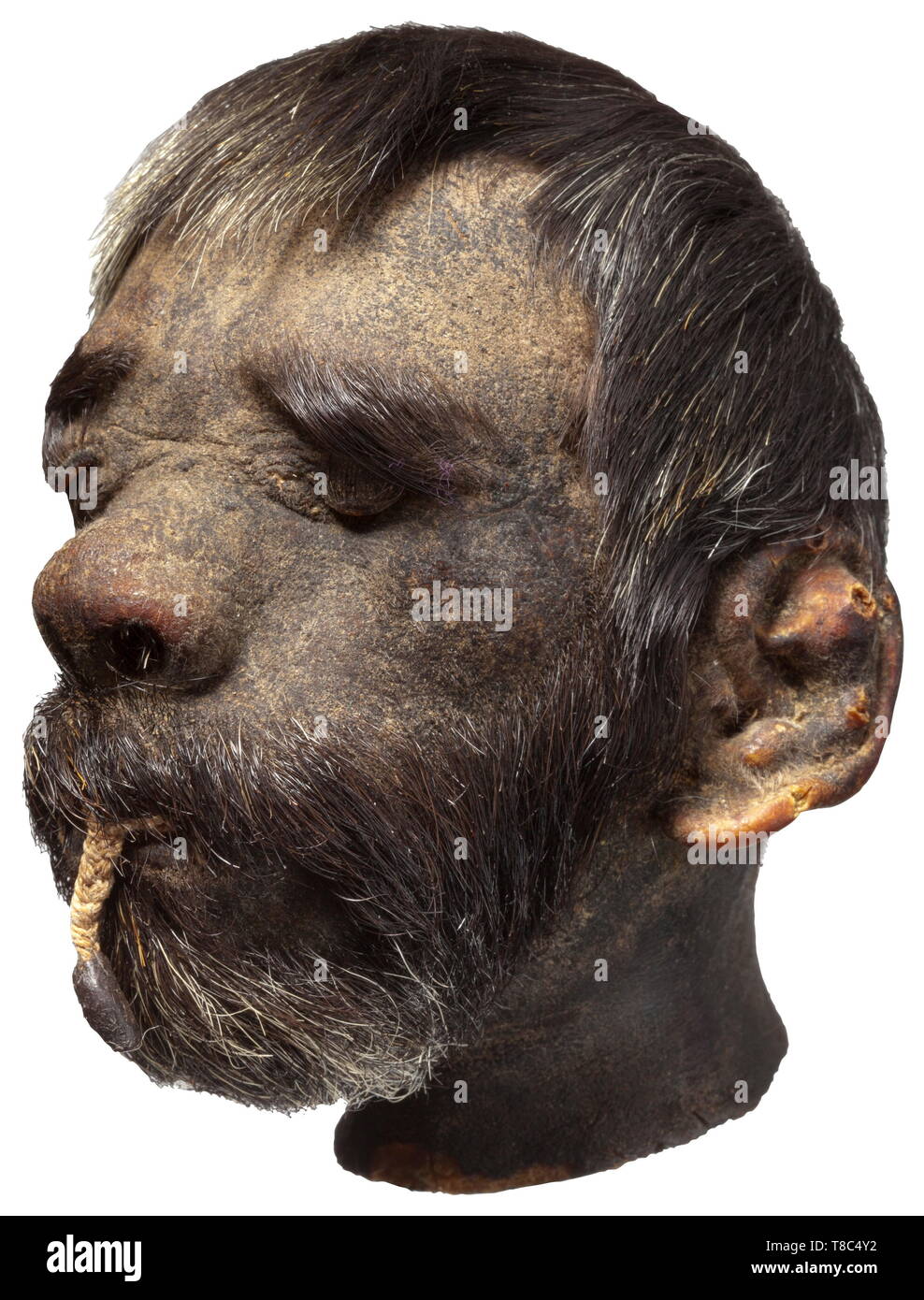 A Shrunken Head From The Amazon Region Short Black Somewhat