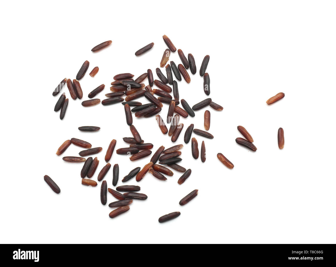 Wild rice on white background Stock Photo Alamy