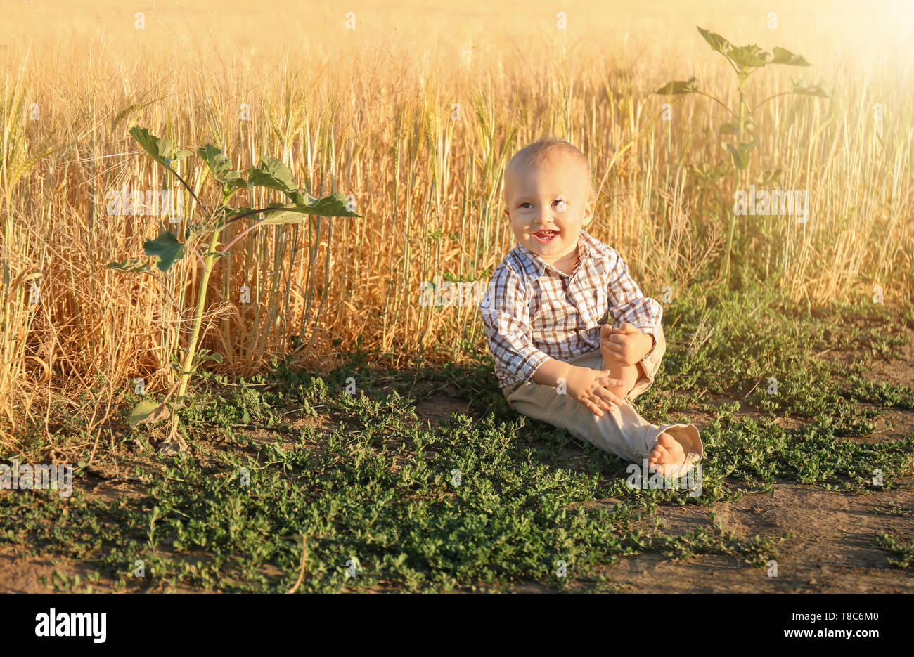 Baby Boy Joyful Laughing & Playing in Country Meadow Stock Image