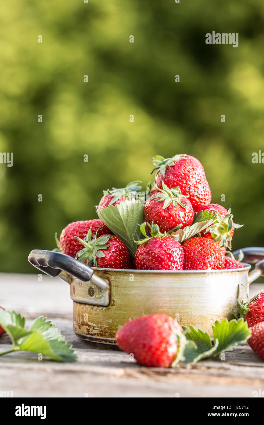Fresh ripe strawberries in vintage kitchen pot on old garden table Stock Photo