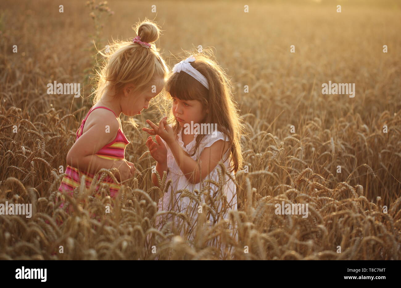 Two young children playing in a wheat field Stock Photo - Alamy