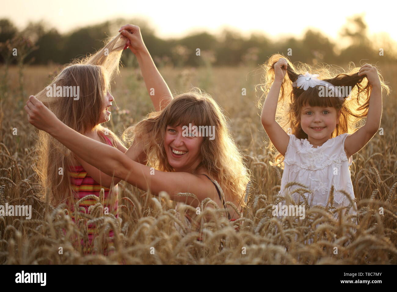 Young girl playing with two young children in a wheat field Stock Photo ...