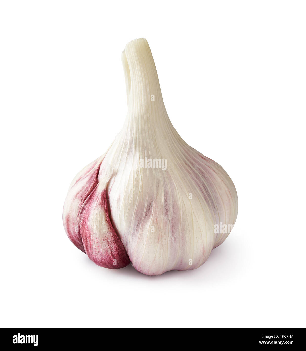 Fresh garlic isolated on white background Stock Photo - Alamy