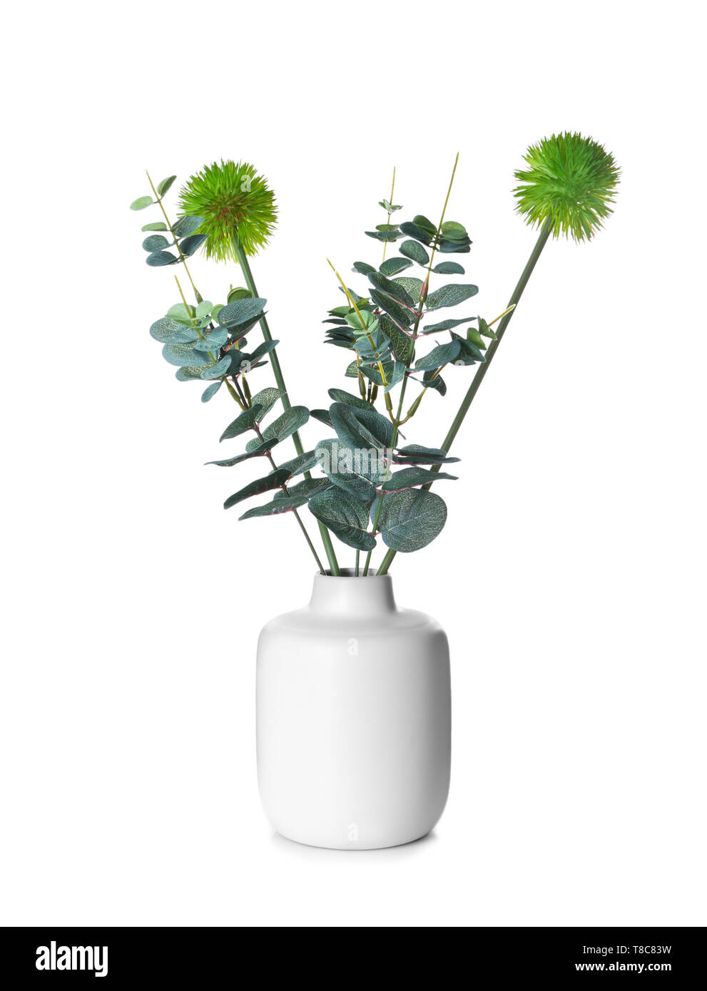 Vase with green plants on white background Stock Photo - Alamy