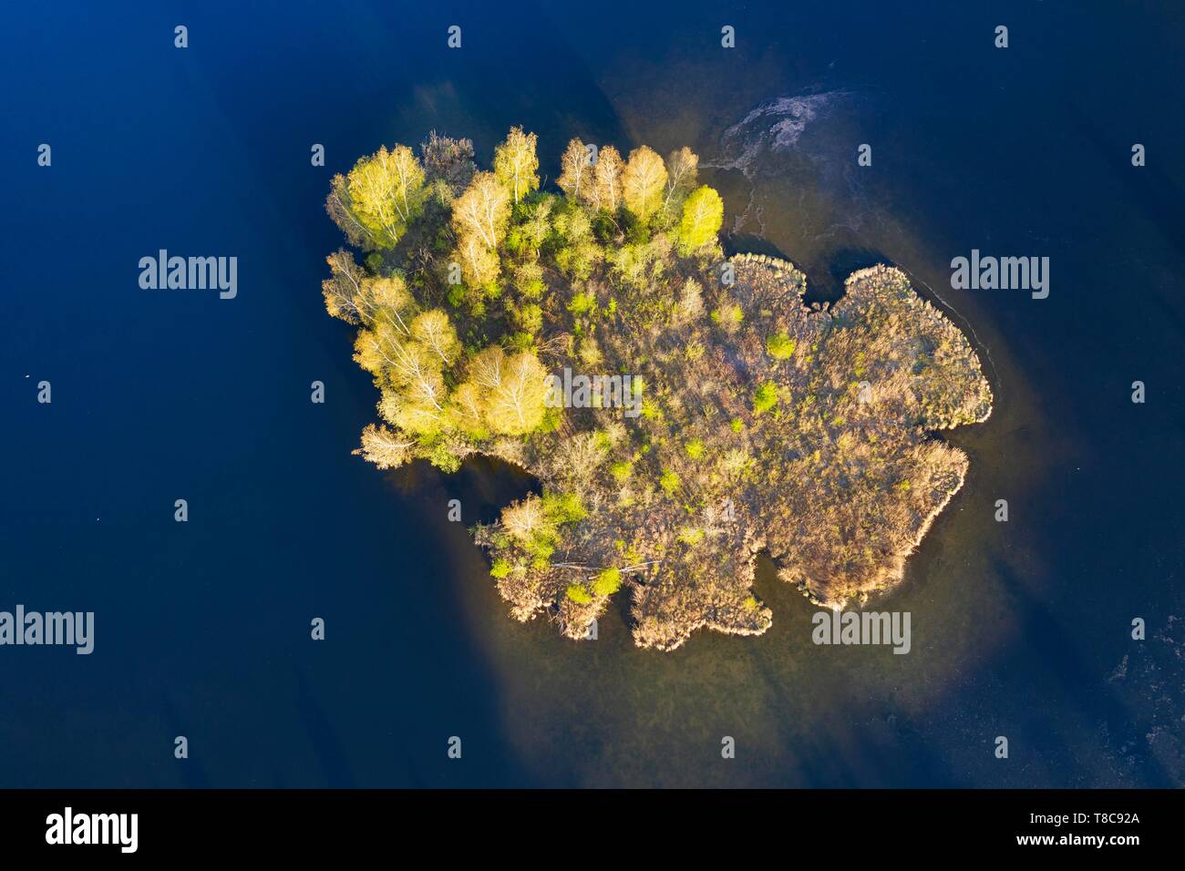 Island in the Bobingen reservoir, Wertach reservoir near Bobingen, near Augsburg, drone shot, Swabia, Bavaria, Germany Stock Photo