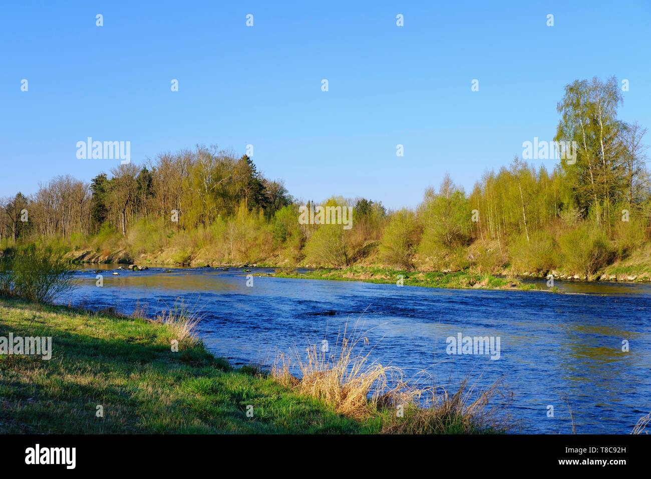 River Wertach near Inningen, near Augsburg, Swabia, Bavaria, Germany Stock Photo