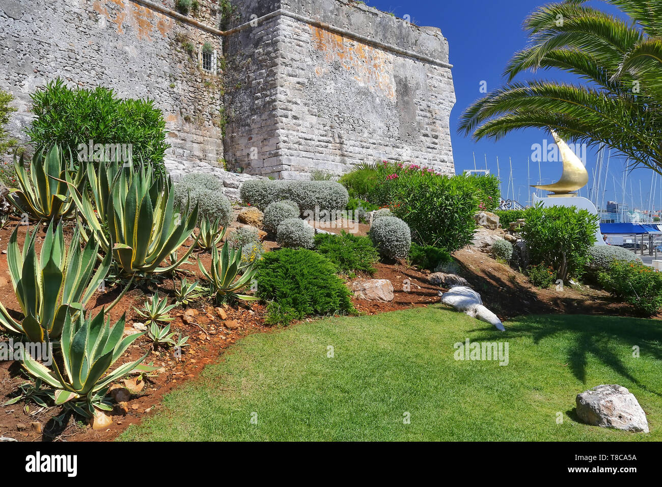 Palm trees and the wall of an ancient fortress. Resort town Cascais. A suburb of Lisbon, Portugal. Stock Photo
