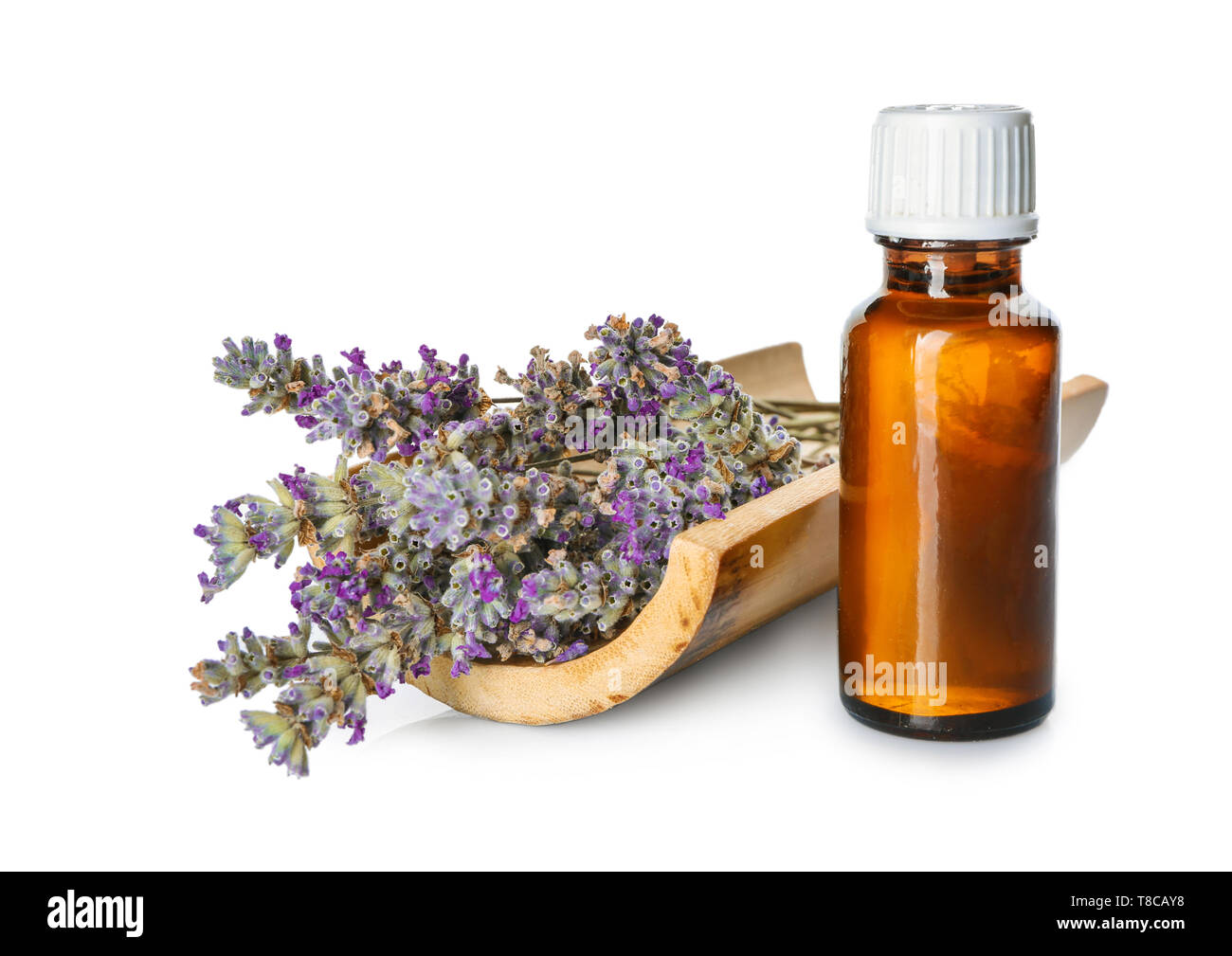 Bottle of essential oil with lavender on white background Stock Photo ...