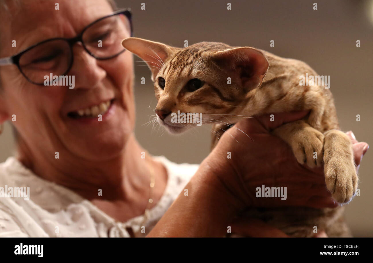 Shaliemar hires stock photography and images Alamy