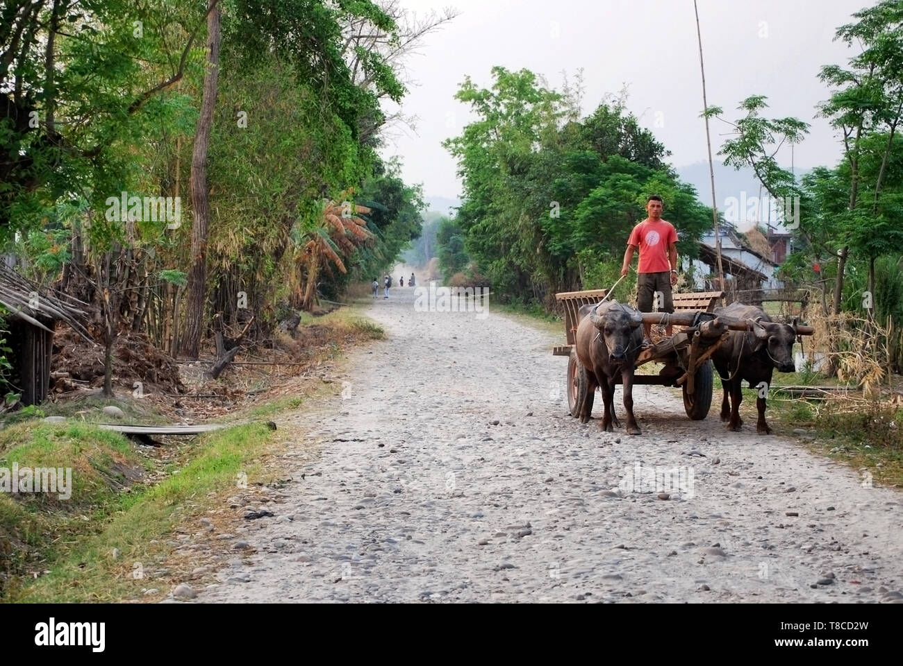 Indian man cart pulled hi-res stock photography and images - Alamy