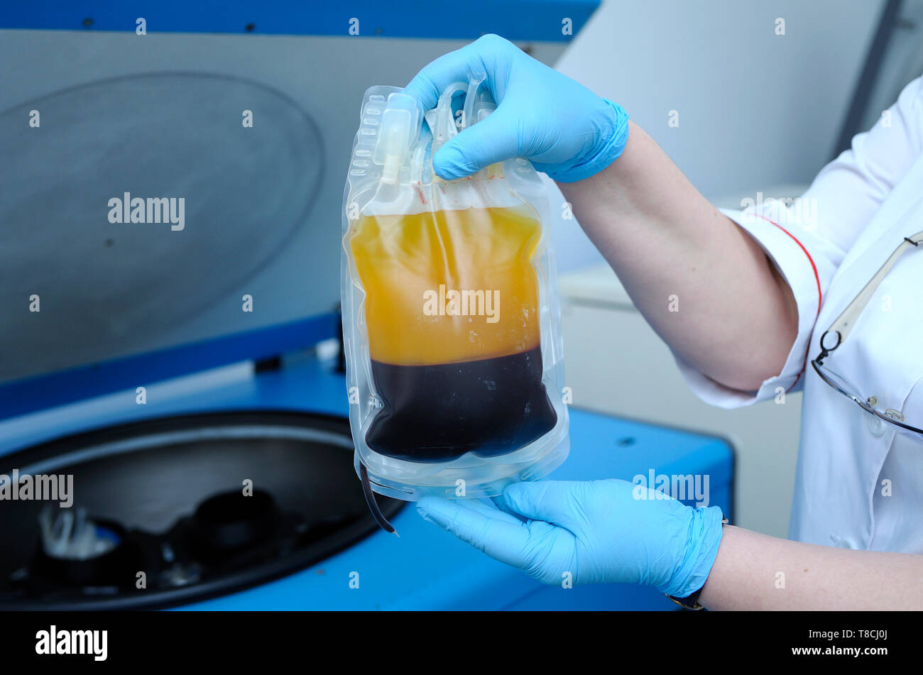 Lab assistant’s hands holding container with blood plasma and red blood cells separated, centrifuge on a background Stock Photo