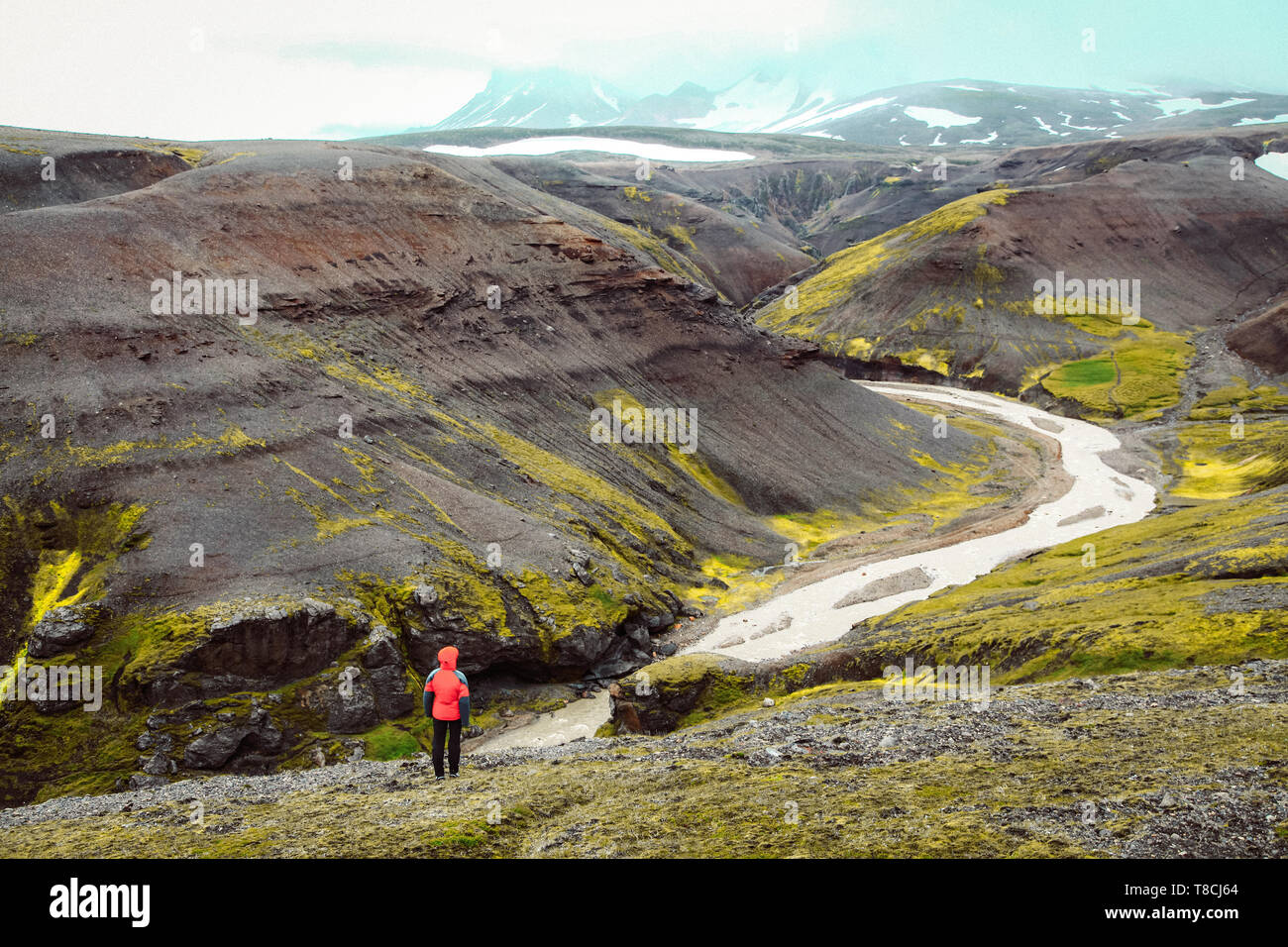 Beautiful view of idyllic mountain scenery with person hiking in Landmannalaugar in the highlands of Iceland Stock Photo