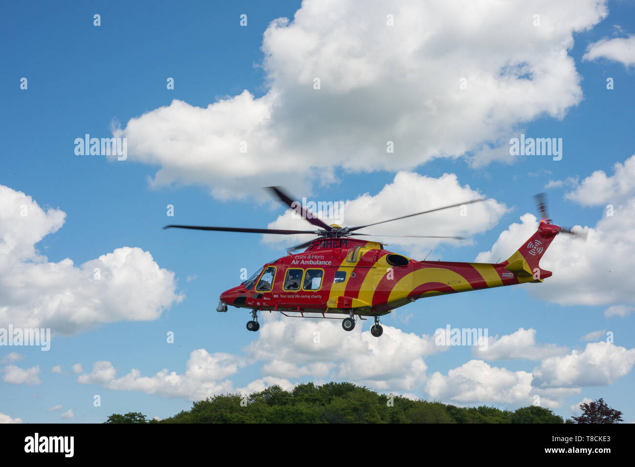 An Essex & Herts air ambulance helicopter landing in Hertford, UK. The helicopter landed in Perrett Gardens. Stock Photo