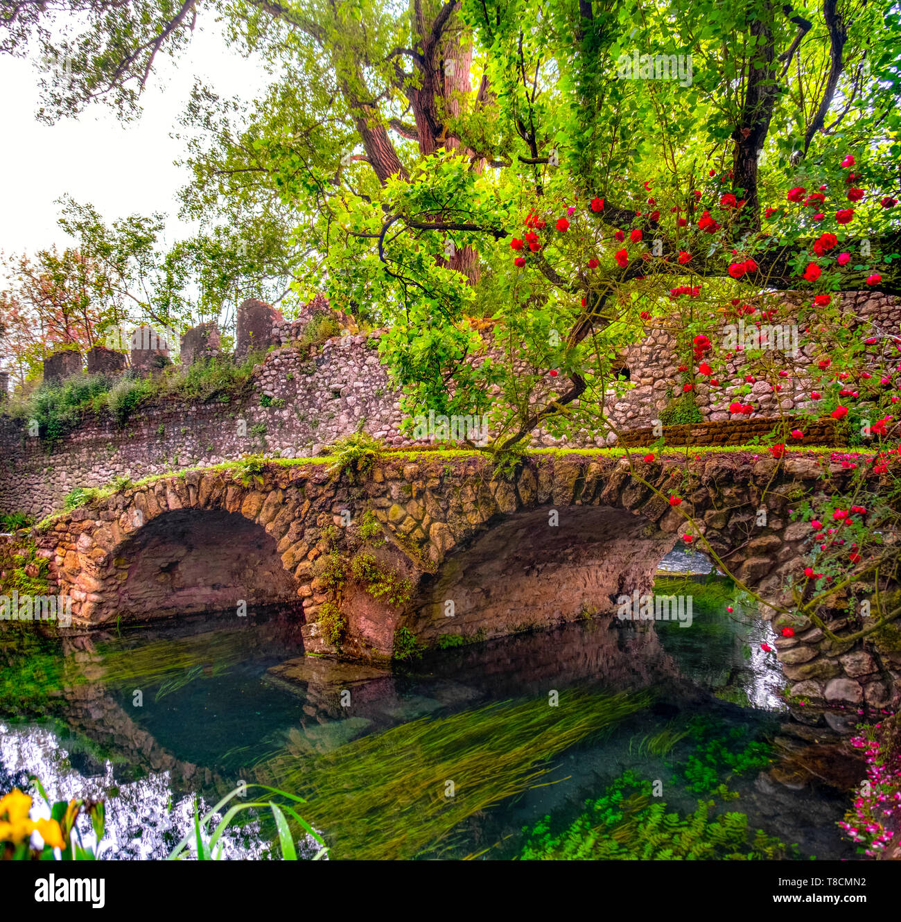 medieval stone bridge in eden colourful garden vibrant with roses and river  Stock Photo