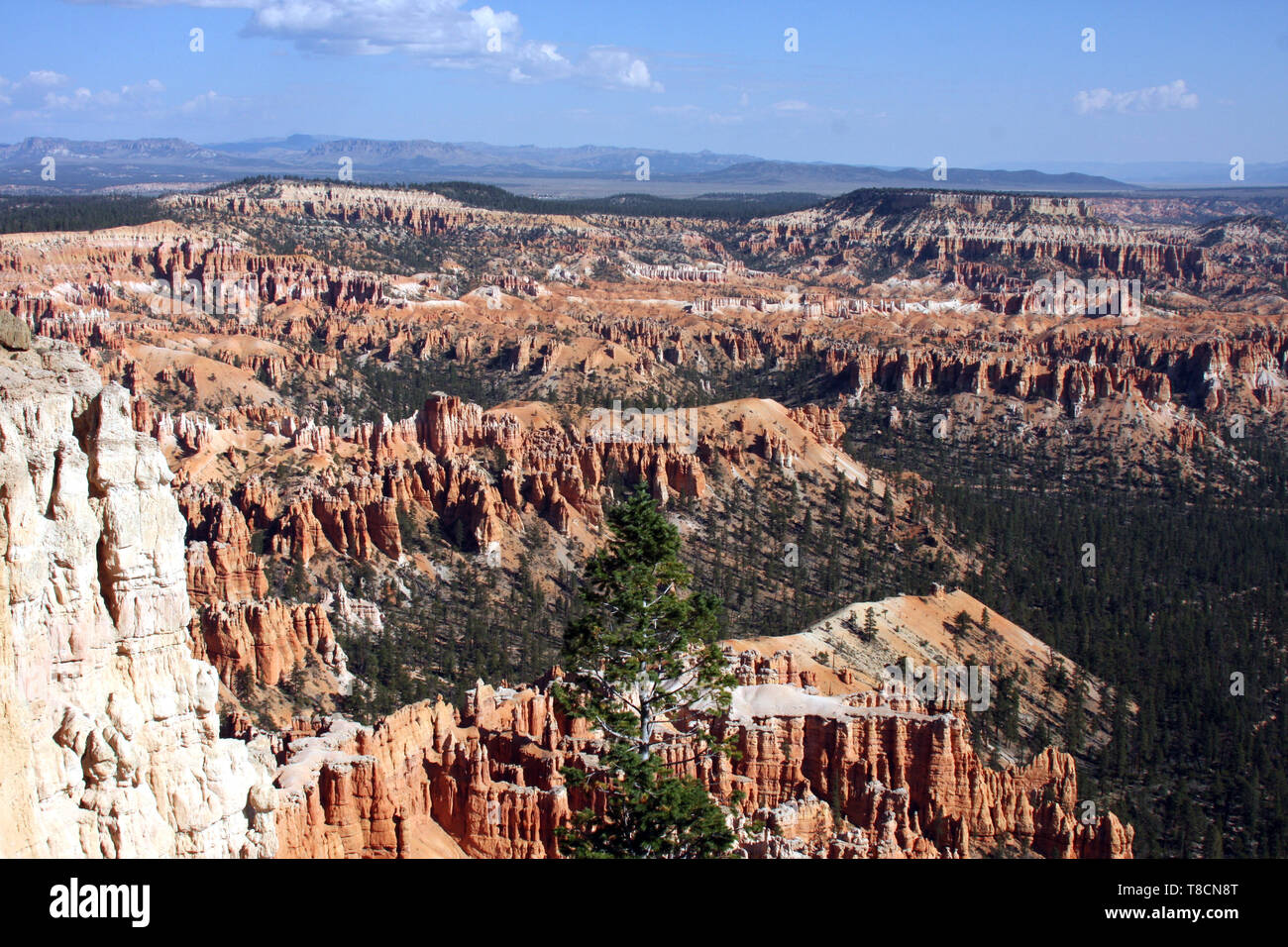 Blue sky and sunshine on Bryce Canyon National Park Stock Photo