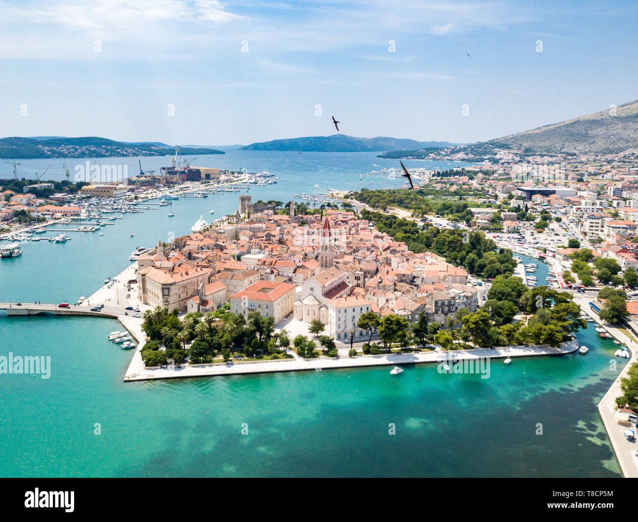 Aerial view of touristic old Trogir, historic town on a small island and harbour on the Adriatic coast in Split-Dalmatia County, Croatia. Flock of gul Stock Photo