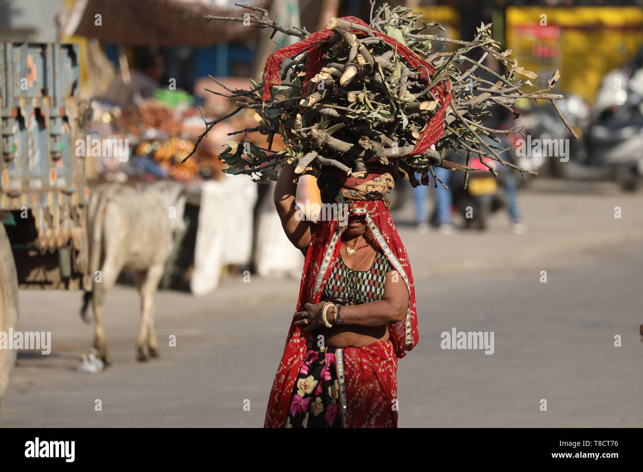 Indian Woman balancing Firewood on Head Stock Photo