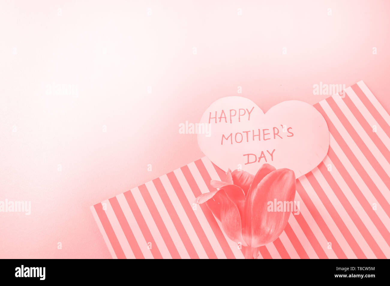 Concept of living coral color. Tulips and a heart shaped template of