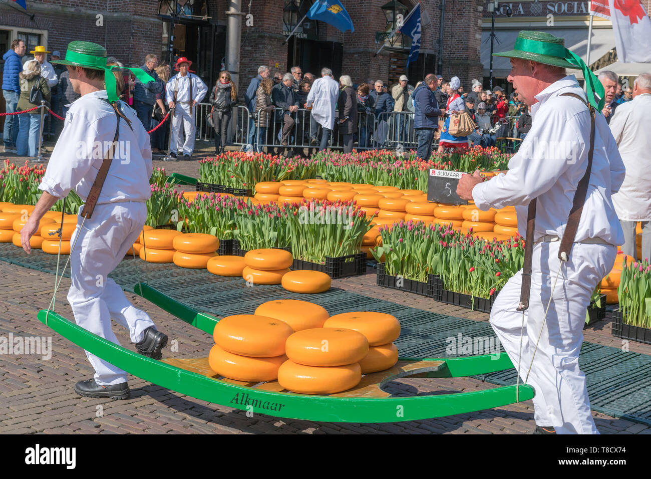 Alkmaar, the Netherlands - April 12, 2019: Traditional cheese market on the Waagplein square in Alkmaar. Stock Photo