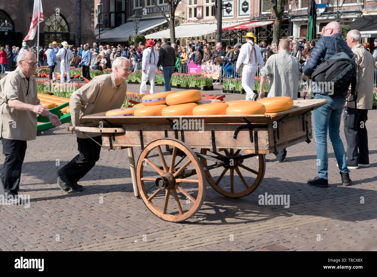 Alkmaar, the Netherlands - April 12, 2019: Traditional cheese market on the Waagplein square in Alkmaar. Stock Photo