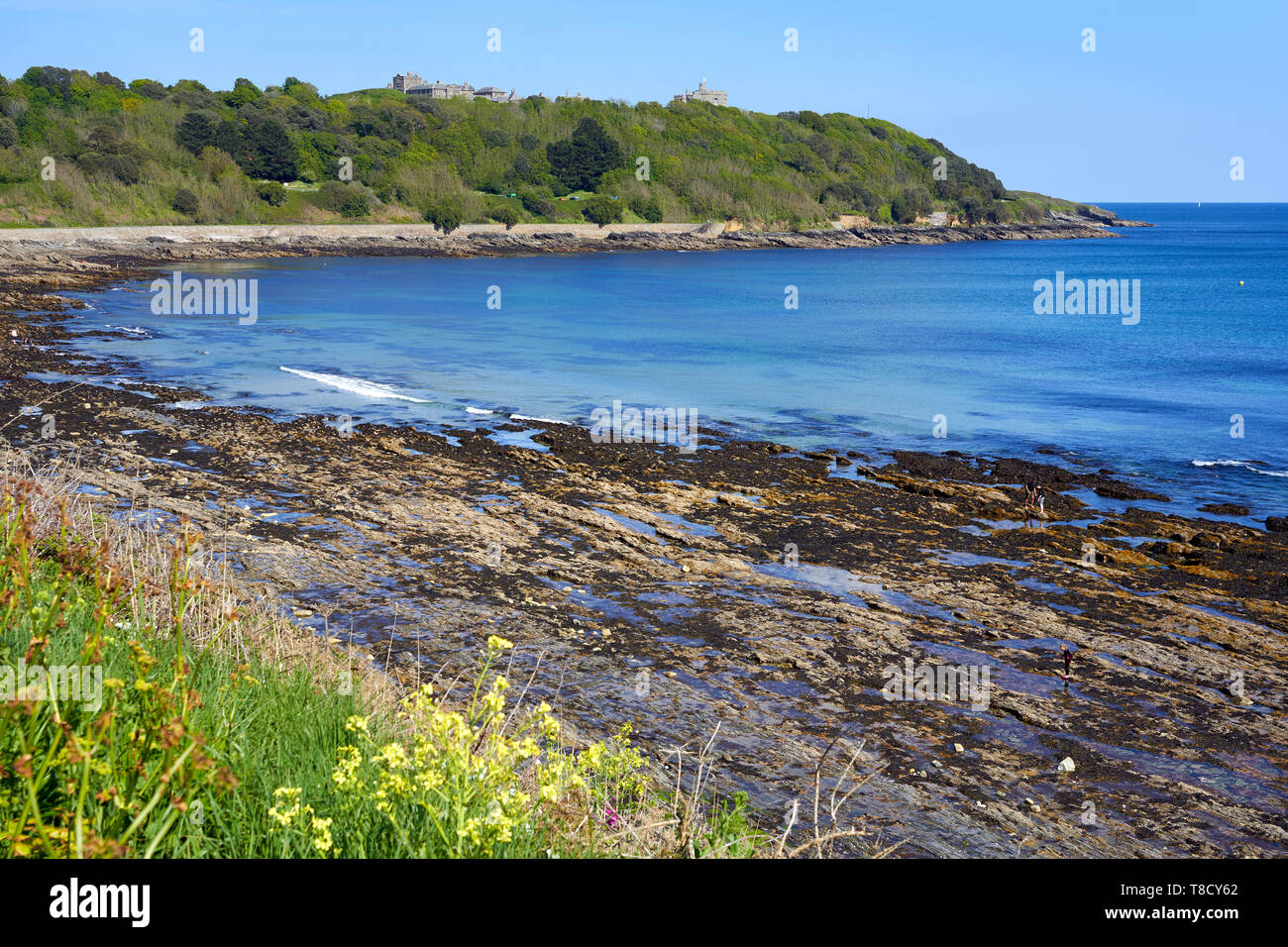 Castle Beach, Falmouth, with Pendennis Castle in the distance Stock ...