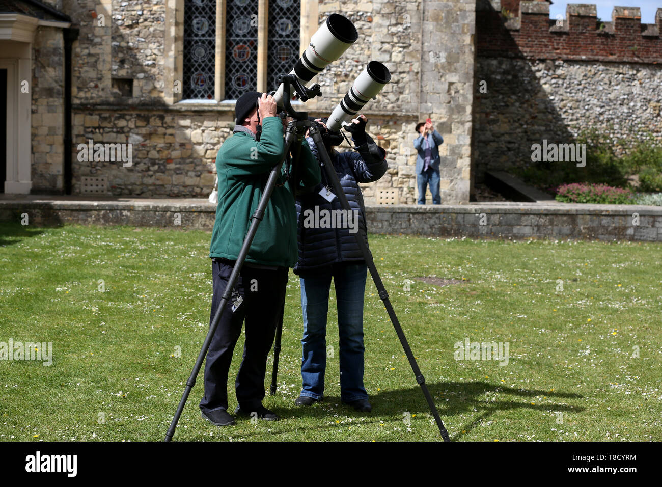 General views of David Shaw and Janet Shaw from David Shaw Wildlife photographing the Peregrines nesting at Chichester Cathedral, West Sussex, UK. Stock Photo