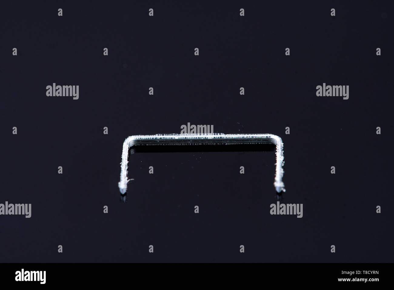 a single isolated tacker on a black background Stock Photo