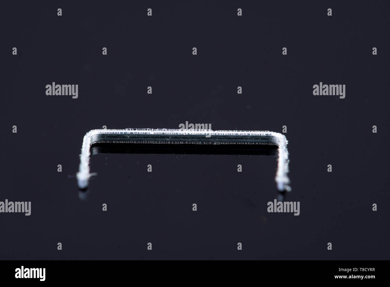 a single isolated tacker on a black background Stock Photo