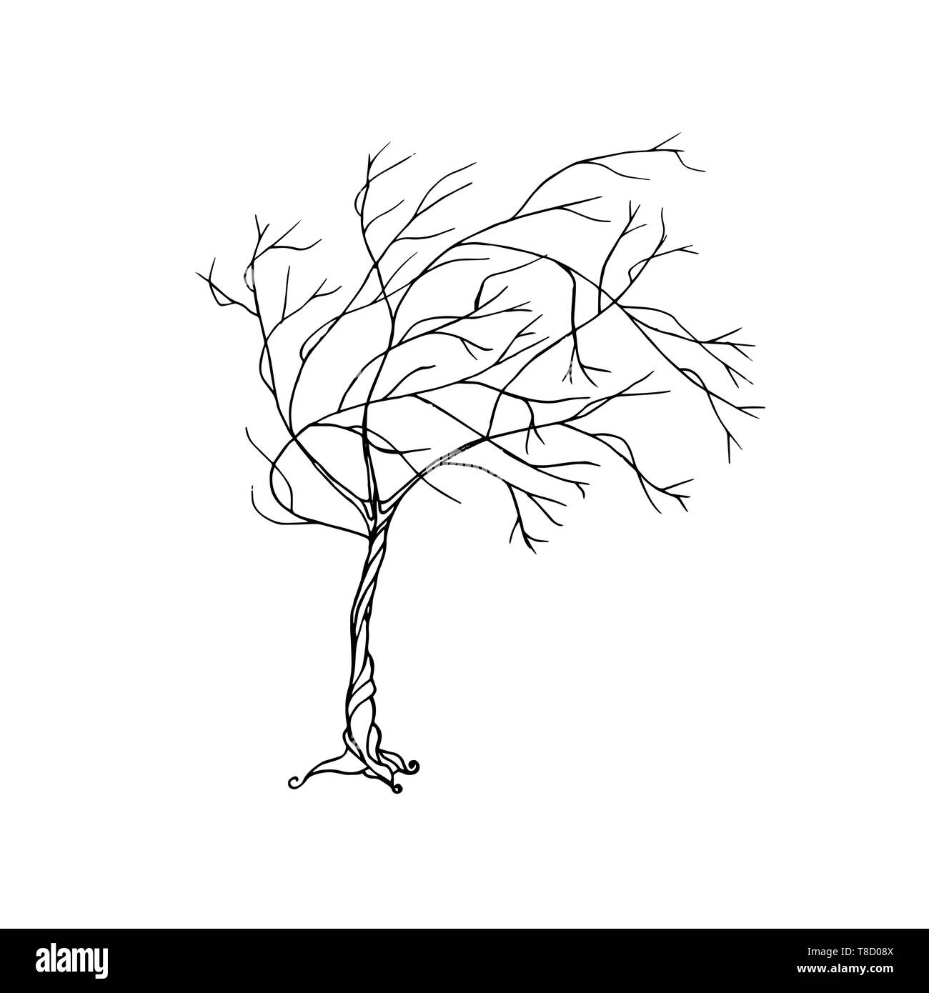 Силуэт осеннего дерева. Дерево без ветра. Дерево без листьев ветер. Дерево без листьев ветер. Дерево без ветра.