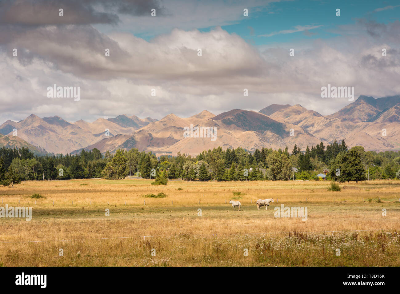 Rural farming land, south Island, New Zealand Stock Photo