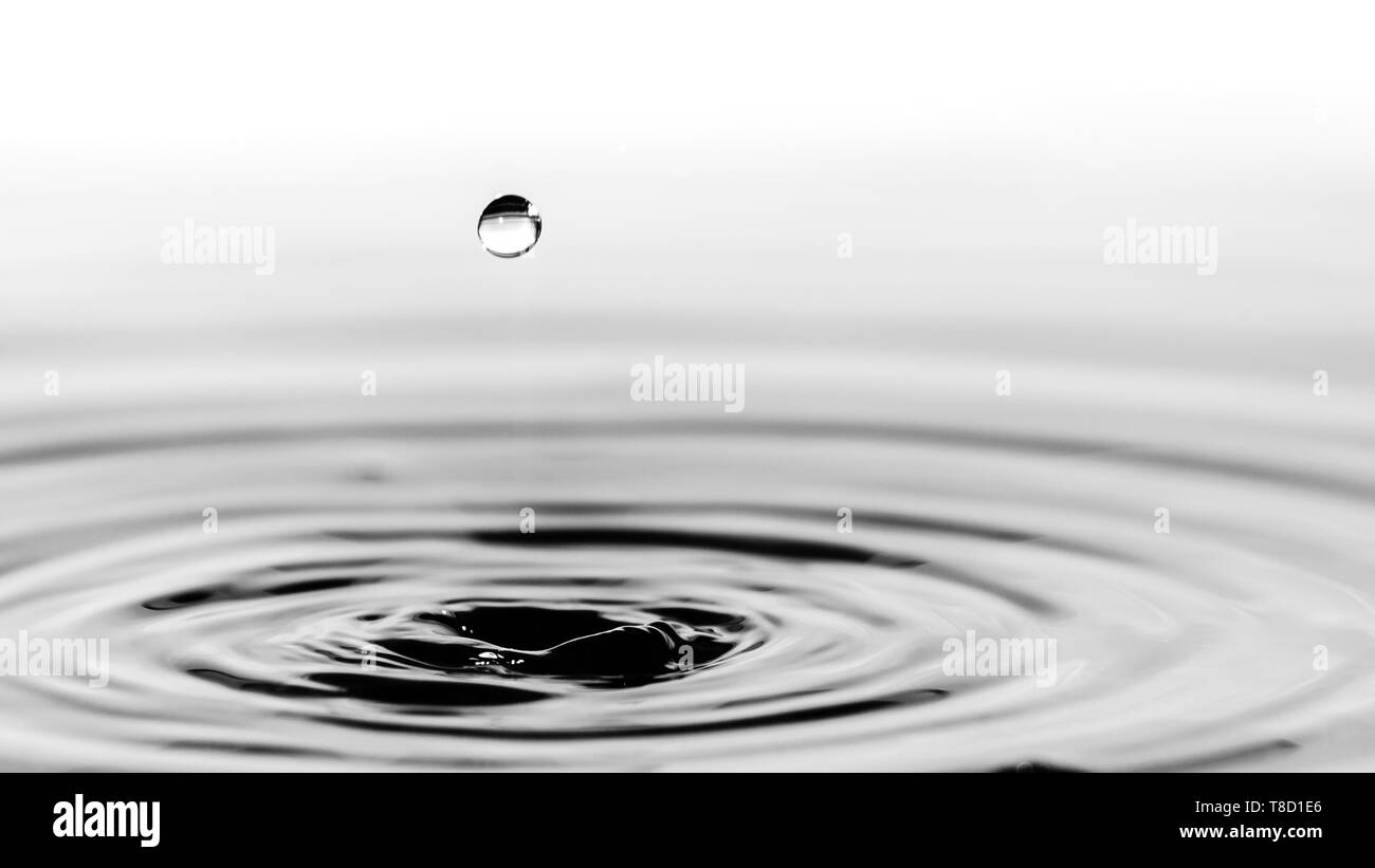 Water Splash Macro Abstract Water Background Splashing Water Droplet