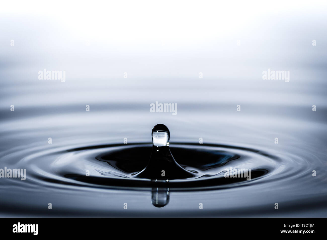 Water Splash Macro Abstract Water Background Splashing Water Droplet Close Up Aqua Clean And Pure Water Calm Serenity Purity Backdrop Stock Photo Alamy