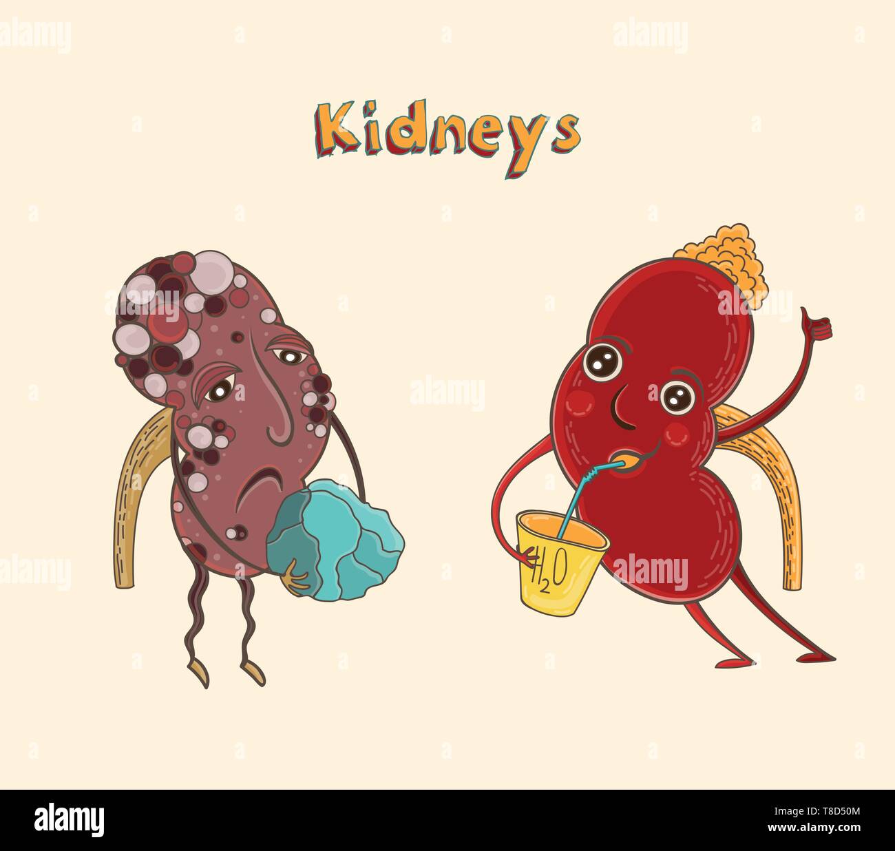 Cartoon vector illustration of healthy and sick human kidneys. Funny educational illustration for kids. Isolated characters. Stock Vector