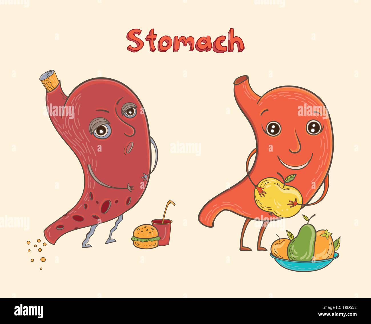 Cartoon vector illustration of healthy and sick human stomach. Funny  educational illustration for kids. Isolated characters Stock Vector Image &  Art - Alamy