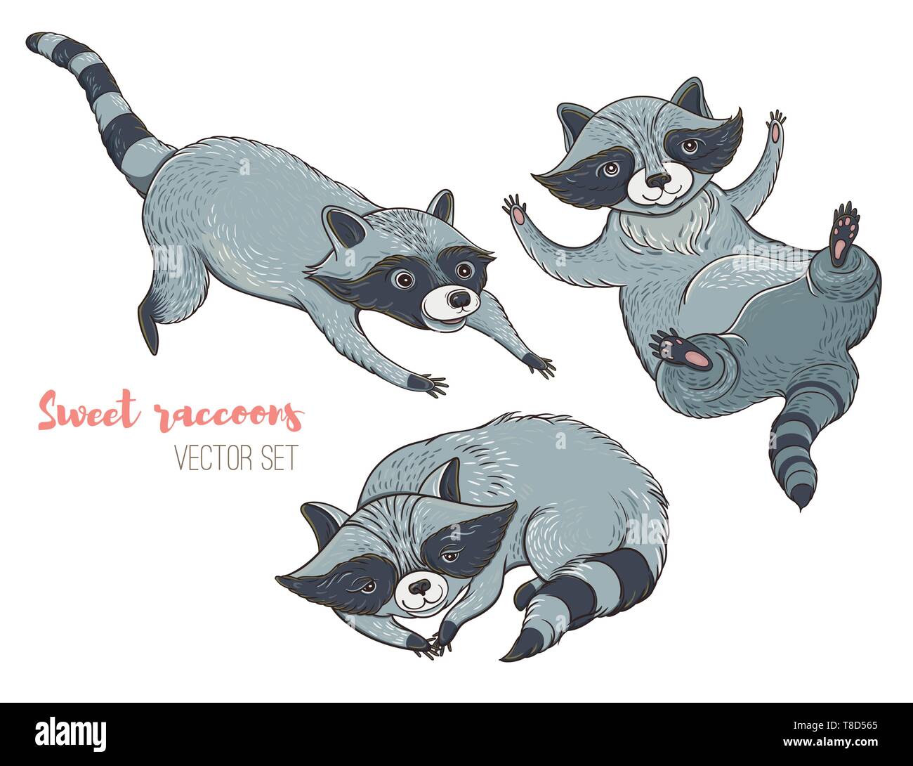 Vector illustration: set of cute characters raccoons. Isolated ...