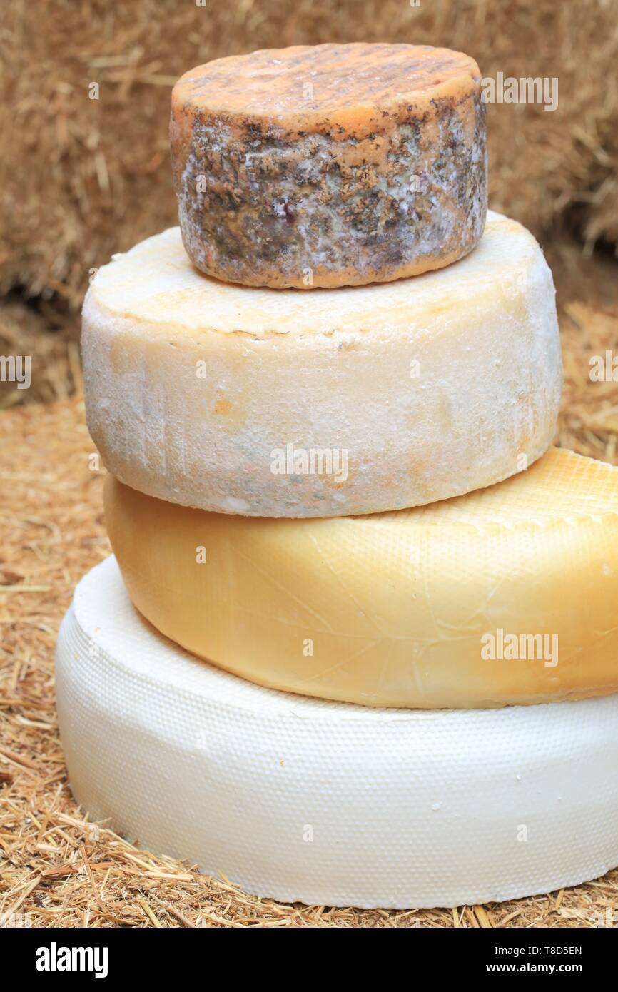 Spain, Canary Islands, Tenerife, province of Santa Cruz de Tenerife, Adeje, Montesdeoca cheese dairy founded in 1984, various goat cheeses Stock Photo