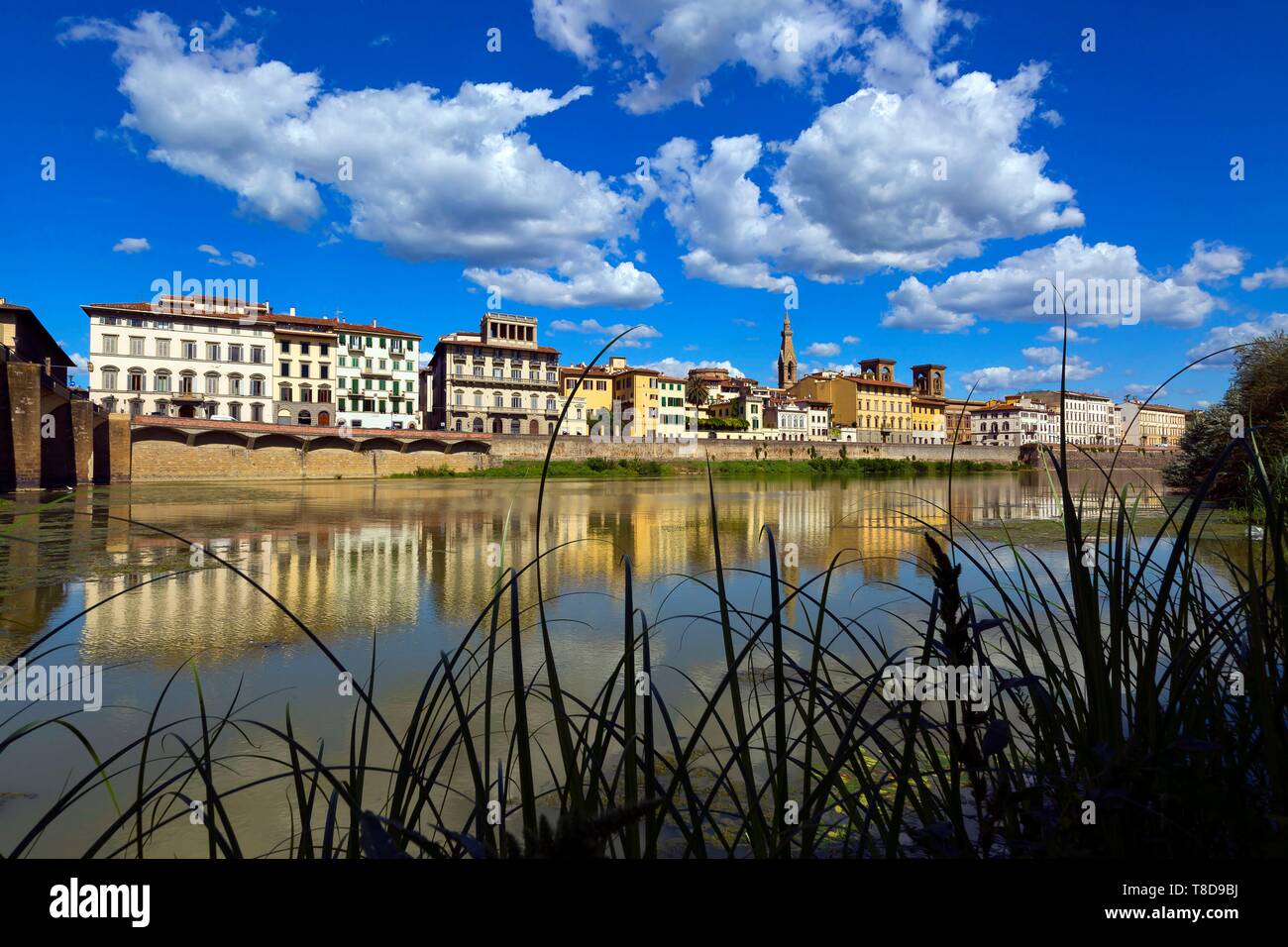 Italy, Tuscany, Florence, historic centre listed as World Heritage by UNESCO, the banks of the Arno Stock Photo