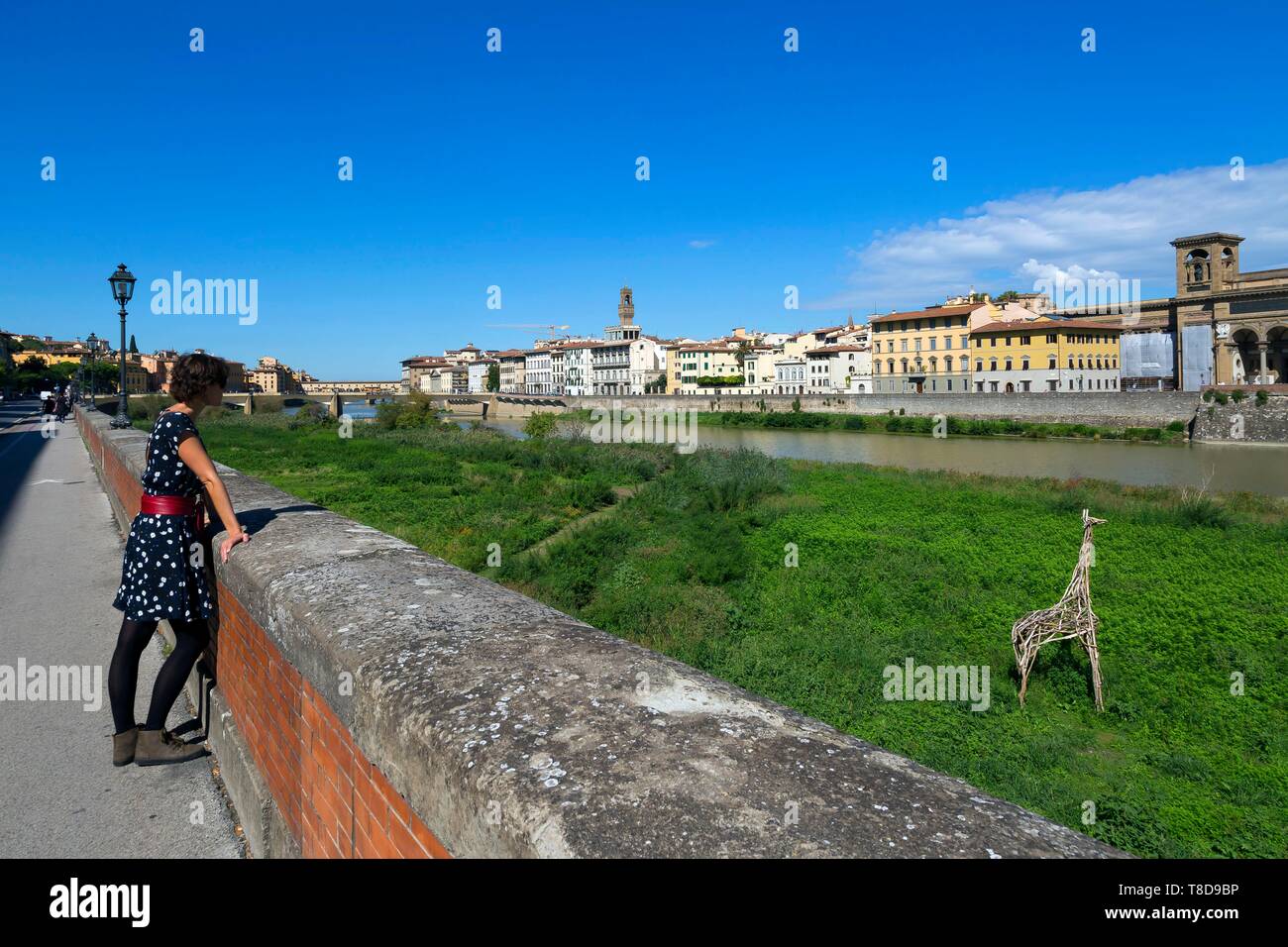 Italy, Tuscany, Florence, historic centre listed as World Heritage by UNESCO, the banks of the Arno with a giraffe wood sculpture Stock Photo