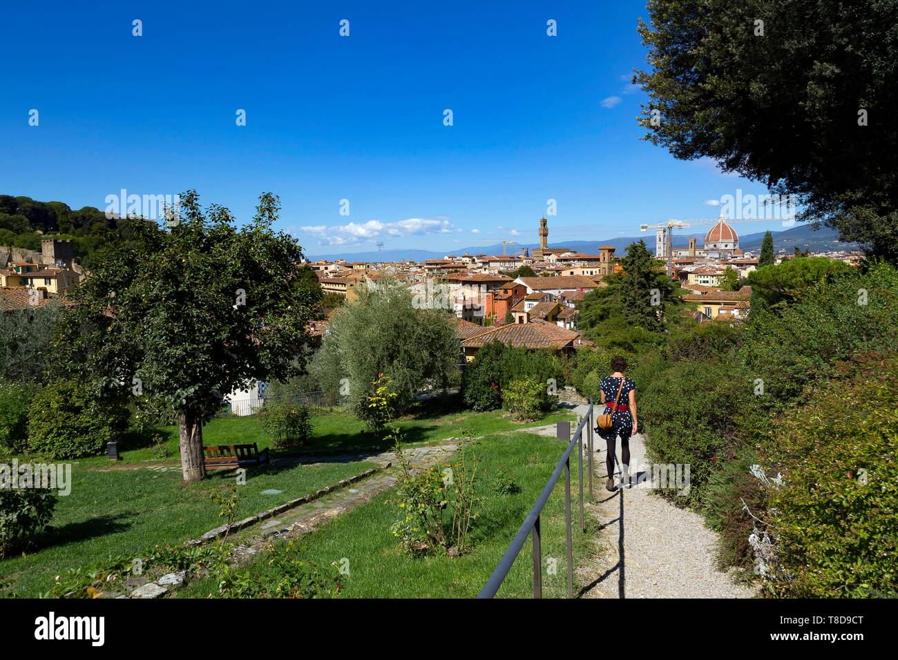 Italy, Tuscany, Florence, historic centre listed as World Heritage by UNESCO, San Miniato al Monte, San Miniato al Monte, Giardino delle Rose (Garden of Roses) Stock Photo