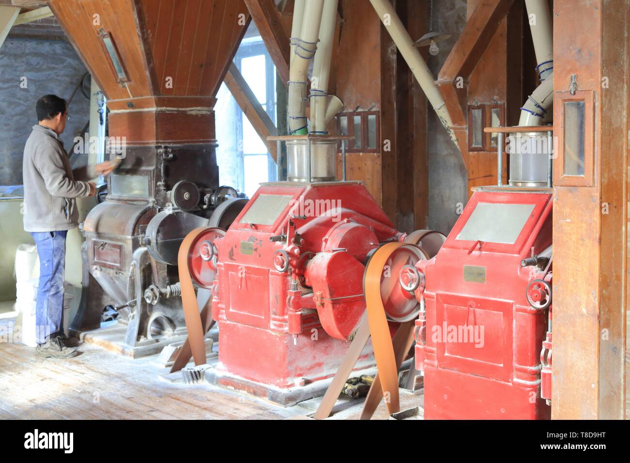 France, Ille et Vilaine, Rimou, Quincampoix mill run by the Christmas family for several generations (here Nicolas), manufacture of organic flours (wheat and buckwheat) Stock Photo